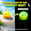 Kawaii Glowing Dumpling Squeeze Toy